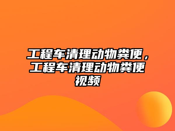 工程車清理動物糞便，工程車清理動物糞便視頻