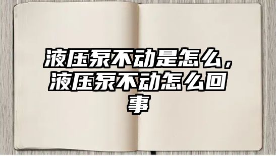 液壓泵不動是怎么，液壓泵不動怎么回事