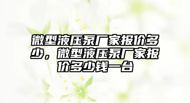 微型液壓泵廠家報價多少，微型液壓泵廠家報價多少錢一臺