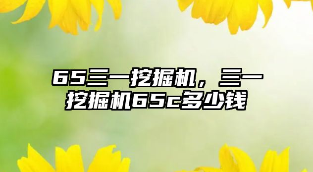 65三一挖掘機，三一挖掘機65c多少錢