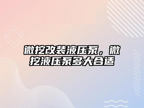 微挖改裝液壓泵，微挖液壓泵多大合適