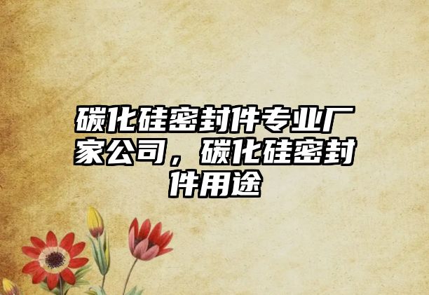 碳化硅密封件專業(yè)廠家公司，碳化硅密封件用途