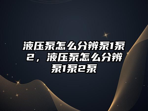 液壓泵怎么分辨泵1泵2，液壓泵怎么分辨泵1泵2泵