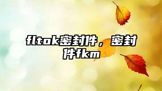 fltok密封件，密封件fkm