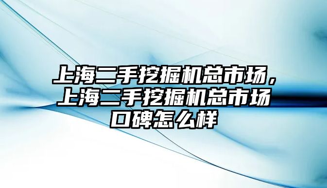 上海二手挖掘機(jī)總市場(chǎng)，上海二手挖掘機(jī)總市場(chǎng)口碑怎么樣