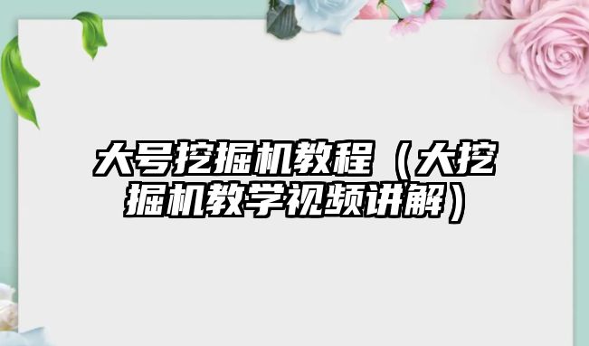 大號挖掘機教程（大挖掘機教學視頻講解）