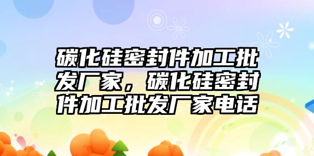 碳化硅密封件加工批發(fā)廠家，碳化硅密封件加工批發(fā)廠家電話