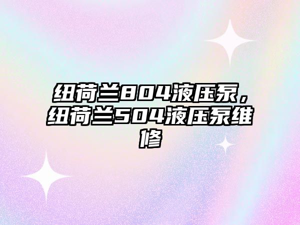 紐荷蘭804液壓泵，紐荷蘭504液壓泵維修