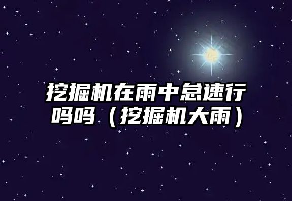 挖掘機在雨中怠速行嗎嗎（挖掘機大雨）