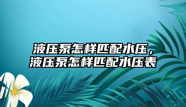 液壓泵怎樣匹配水壓，液壓泵怎樣匹配水壓表