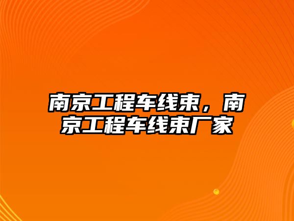 南京工程車線束，南京工程車線束廠家