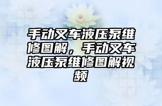 手動叉車液壓泵維修圖解，手動叉車液壓泵維修圖解視頻