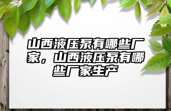 山西液壓泵有哪些廠家，山西液壓泵有哪些廠家生產(chǎn)