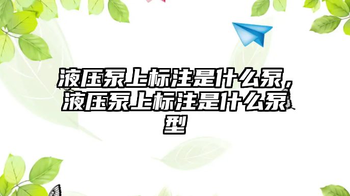 液壓泵上標(biāo)注是什么泵，液壓泵上標(biāo)注是什么泵型