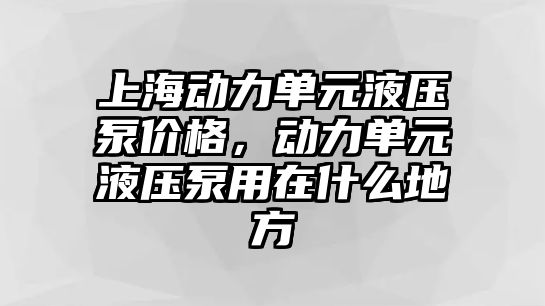 上海動力單元液壓泵價格，動力單元液壓泵用在什么地方