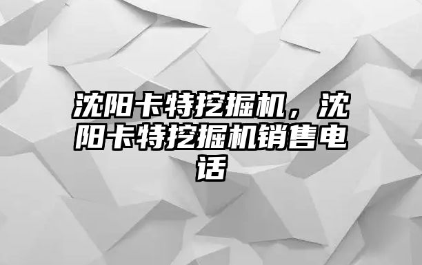 沈陽卡特挖掘機，沈陽卡特挖掘機銷售電話