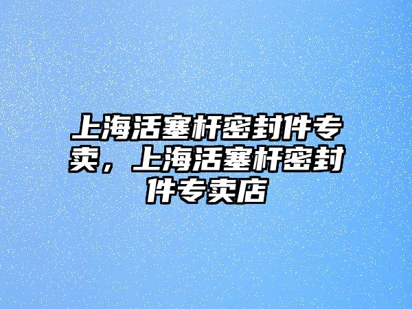 上海活塞桿密封件專賣，上海活塞桿密封件專賣店