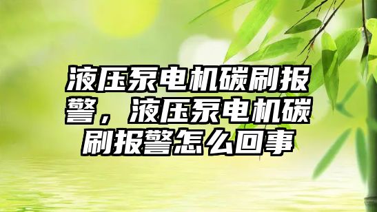 液壓泵電機碳刷報警，液壓泵電機碳刷報警怎么回事