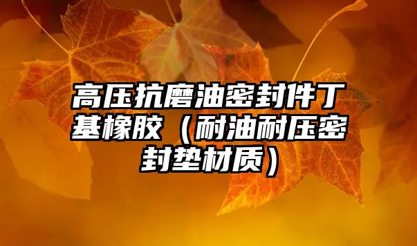 高壓抗磨油密封件丁基橡膠（耐油耐壓密封墊材質(zhì)）