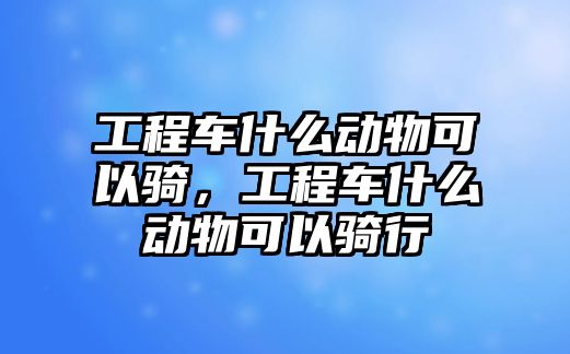 工程車什么動物可以騎，工程車什么動物可以騎行