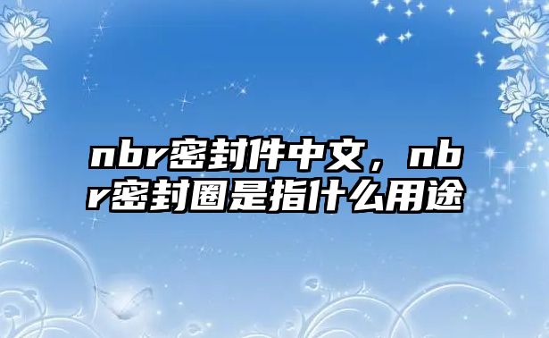 nbr密封件中文，nbr密封圈是指什么用途