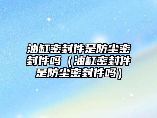 油缸密封件是防塵密封件嗎（油缸密封件是防塵密封件嗎）