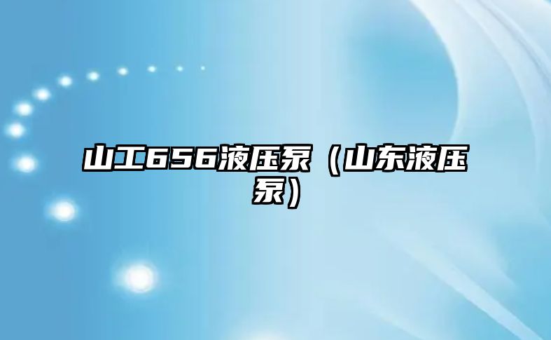 山工656液壓泵（山東液壓泵）