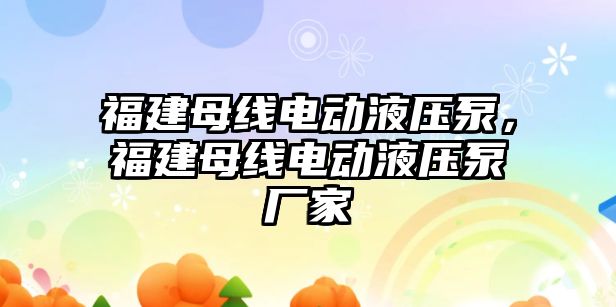 福建母線電動液壓泵，福建母線電動液壓泵廠家