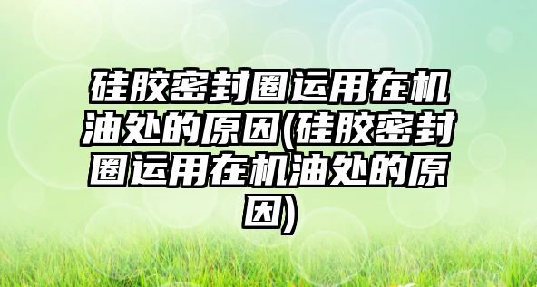 硅膠密封圈運用在機油處的原因(硅膠密封圈運用在機油處的原因)