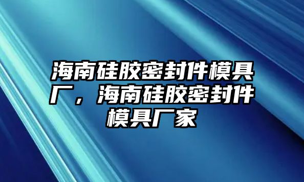 海南硅膠密封件模具廠，海南硅膠密封件模具廠家