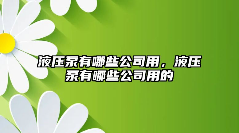 液壓泵有哪些公司用，液壓泵有哪些公司用的