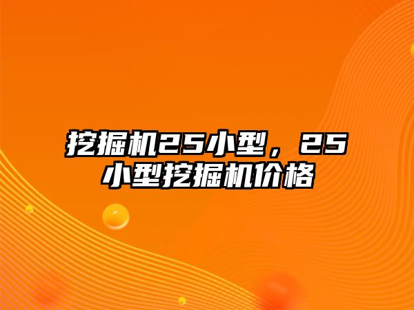 挖掘機25小型，25小型挖掘機價格