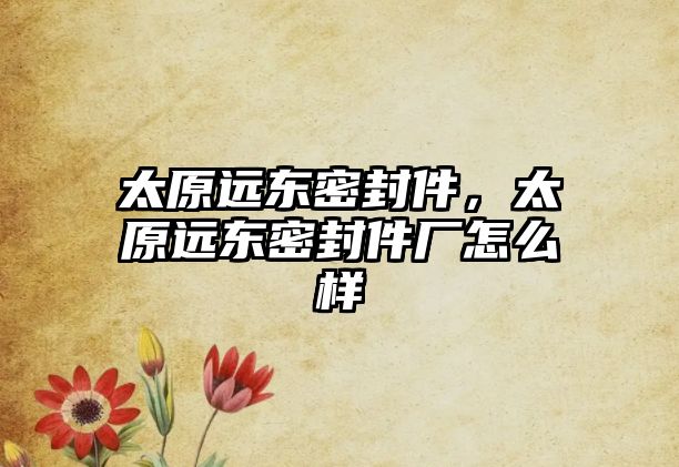 太原遠(yuǎn)東密封件，太原遠(yuǎn)東密封件廠怎么樣