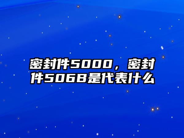 密封件5000，密封件506B是代表什么