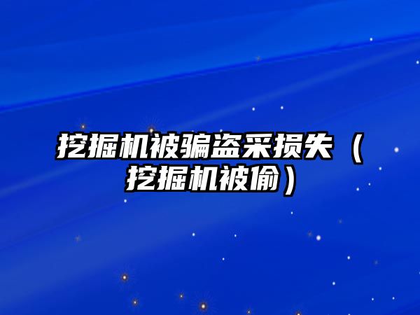 挖掘機被騙盜采損失（挖掘機被偷）