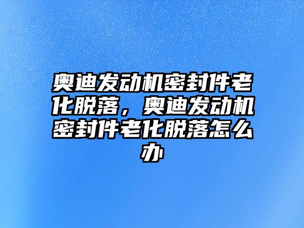 奧迪發(fā)動(dòng)機(jī)密封件老化脫落，奧迪發(fā)動(dòng)機(jī)密封件老化脫落怎么辦