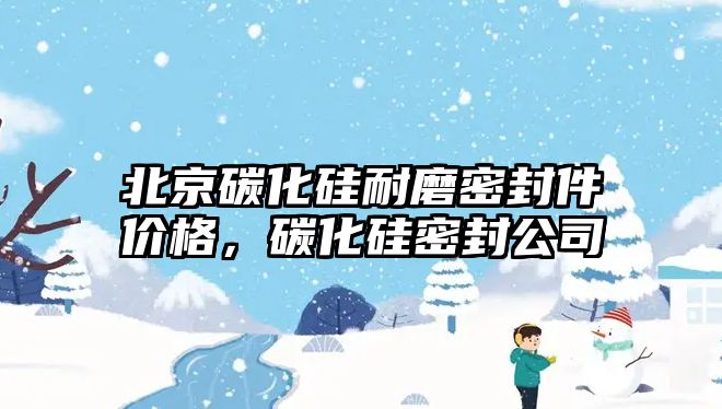 北京碳化硅耐磨密封件價(jià)格，碳化硅密封公司