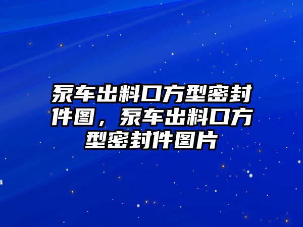 泵車出料口方型密封件圖，泵車出料口方型密封件圖片