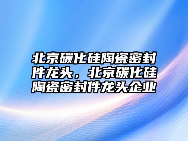 北京碳化硅陶瓷密封件龍頭，北京碳化硅陶瓷密封件龍頭企業(yè)