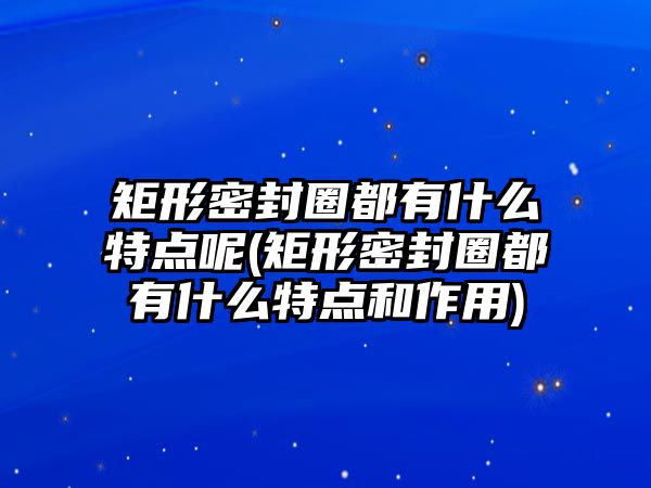 矩形密封圈都有什么特點呢(矩形密封圈都有什么特點和作用)