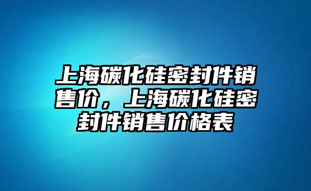 上海碳化硅密封件銷售價，上海碳化硅密封件銷售價格表