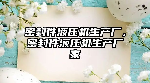 密封件液壓機生產(chǎn)廠，密封件液壓機生產(chǎn)廠家