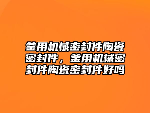 釜用機械密封件陶瓷密封件，釜用機械密封件陶瓷密封件好嗎