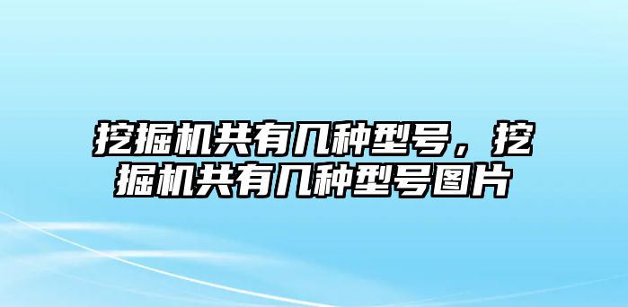 挖掘機共有幾種型號，挖掘機共有幾種型號圖片