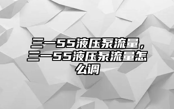 三一55液壓泵流量，三一55液壓泵流量怎么調