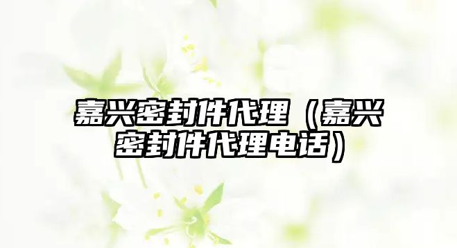 嘉興密封件代理（嘉興密封件代理電話）