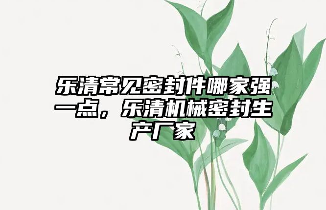 樂清常見密封件哪家強一點，樂清機械密封生產(chǎn)廠家