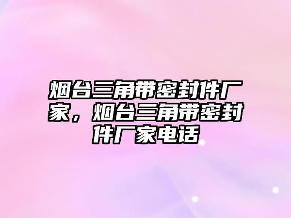 煙臺三角帶密封件廠家，煙臺三角帶密封件廠家電話