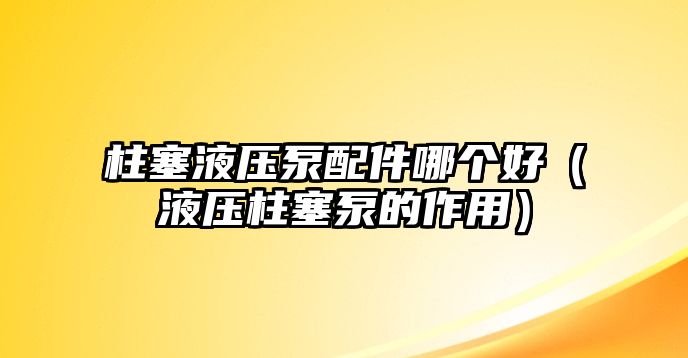 柱塞液壓泵配件哪個(gè)好（液壓柱塞泵的作用）