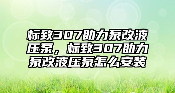 標(biāo)致307助力泵改液壓泵，標(biāo)致307助力泵改液壓泵怎么安裝